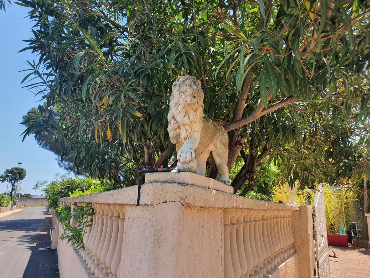 Villa Les Palmiers -Stretta Di I Mandarini ลูเชียนา ภายนอก รูปภาพ